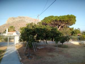スタブロスにあるDemi's houseの山を背景にした庭の木々