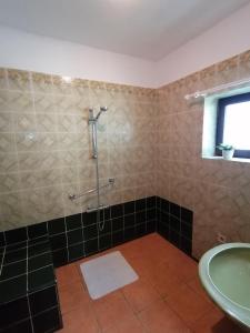 y baño con ducha y lavamanos. en Ferienhaus Stubalpenblick, en Salla