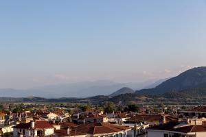 a city with houses and mountains in the background at Toti Boutique Rooms in Kalabaka