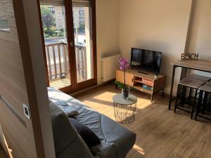 Una sala de estar con un sofá y un televisor. en Appartement proche plage refait à neuf, en Villers-sur-Mer