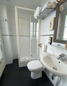 uma casa de banho com um WC, um lavatório e um chuveiro em Hôtel Etoile Trocadéro em Paris