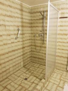 a shower with a glass door in a bathroom at Gemütliche Ferienwohnung mit Kamin und Sauna! in Nistertal