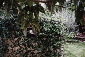 Taman di luar NAP Hostel Spaccanapoli