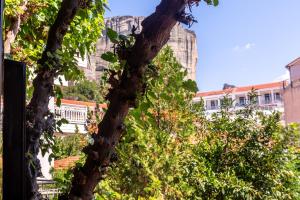a tree in front of a building at Toti Boutique Rooms in Kalabaka