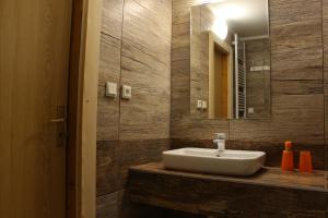 La salle de bains est pourvue d'un lavabo et d'un miroir. dans l'établissement Chata Donovaly Bully 242/B, à Donovaly