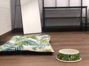 a dog bowl sitting on the floor next to a pillow at Huellas Albergue-Turístico in Portomarin