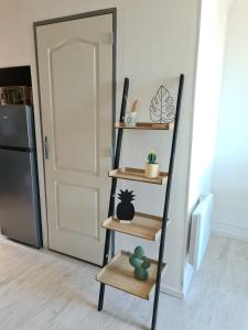 a shelf with cacti on it next to a refrigerator at L'Atelier Cosy in Beauvais