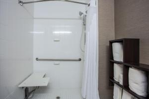 a bathroom with a shower and a sink at Holiday Inn Express & Suites Naples Downtown - 5th Avenue by IHG in Naples