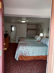 Postel nebo postele na pokoji v ubytování Holiday Motel Bend