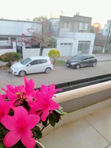 a bunch of pink flowers on a ledge with cars at Departamento Santo Tome centrico in Santo Tomé