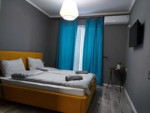 デミル・カピヤにあるVilla Bratislavaのギャラリーの写真 +59枚の写真