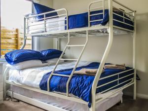 1 dormitorio con 2 literas y almohadas azules en Redwood, en Cowes