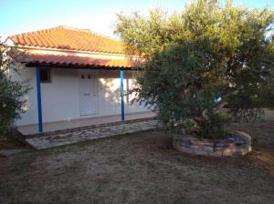 Zahrada ubytování Aggeliki House 3