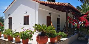 a group of potted plants in front of a house at Bungalow Gialova in Gialova