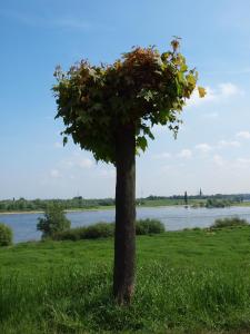 Bilde i galleriet til Hotel-Restaurant Orsoyer Hof i Rheinberg