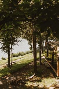 Falkensteiner Premium Camping Lake Blagus في Sveti Jurij ob Ščavnici: مجموعة من الأشجار والمقاعد أمام هيئة المياه