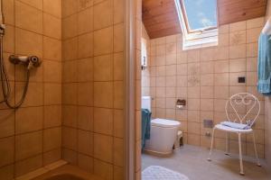 a bathroom with a shower and a toilet at Ferienwohnung Monika Haug in Immenstaad am Bodensee +14 photos