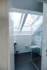 a bathroom with a toilet and a skylight at Modern Loft/Apartment near Bonn DTAG/DHL/UN in Königswinter