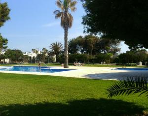 a palm tree and a swimming pool in a park at Casa Mo in Cala en Bosc