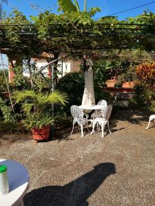 Zahrada ubytování A Casa Do Caseiro