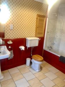 W łazience znajduje się toaleta, umywalka i prysznic. w obiekcie Dufferin Coaching Inn w mieście Killyleagh