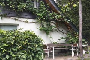 Gallery image of Idyllisches Ferienhaus am Wald in Möhrenbach