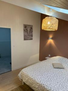 a bedroom with a bed and a light fixture at Logement rénové et moderne au Sacré Coeur Cholet in Cholet