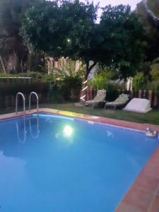 a large blue swimming pool in a yard at Apartamento Laila,Sevilla, in Alcalá de Guadaira