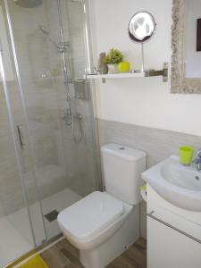 a bathroom with a shower and a toilet and a sink at Apartamento Laila,Sevilla, in Alcalá de Guadaira