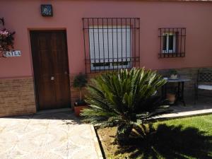 a pink house with a plant in front of it at Apartamento Laila,Sevilla, in Alcalá de Guadaira
