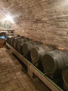 Fotografia z galérie ubytovania Ubytování U Špačků Pálava v destinácii Novosedly