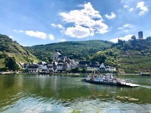 un barco en un río frente a una ciudad en Haus am Rhein mit Self Check-In und P, en Coblenza