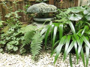 Κήπος έξω από το AOI Guest House