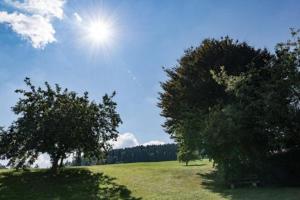 a field with two trees and the sun in the sky at Ferienwohnungen Schweinberger Mühle in Kollnburg