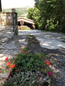 un jardín con flores rojas al lado de una carretera en Country House Antiche Dimore, en Abbateggio