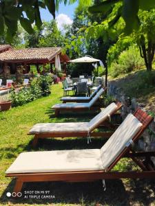 Zahrada ubytování Country House Antiche Dimore