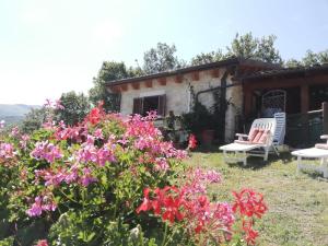 Zahrada ubytování Country House Antiche Dimore