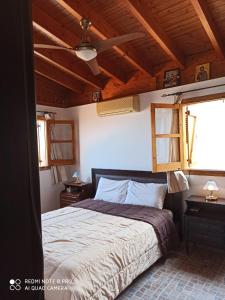 Un pat sau paturi într-o cameră la Aretis sea view house