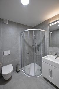 a bathroom with a shower and a toilet and a sink at Apartmány Chata Večernice in Dolní Morava