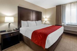 a hotel room with a large bed with a red blanket at Comfort Suites Highlands Ranch Denver Tech Center Area in Highlands Ranch