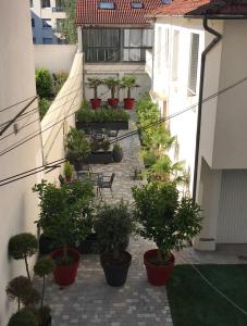 a courtyard with potted plants and tables and chairs at Logement haut de gamme jacuzzi sauna in Clermont-Ferrand +3 photos