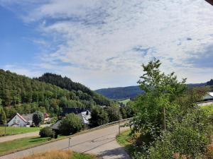 Blick auf eine Straße in einem Dorf mit Bäumen in der Unterkunft Ferienwohnung Karussell in Siebenbach
