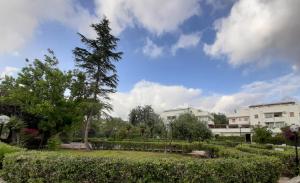 a park with a tree and some bushes and buildings at a due passi dal mare in Diamante
