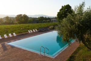 an overhead view of a swimming pool next to a vineyard at Tenuta Toscanità in Cavriglia