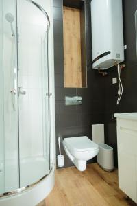 a bathroom with a toilet and a glass shower at Кайзервальд Forus - апартаменти в Карпатах in Karpaty