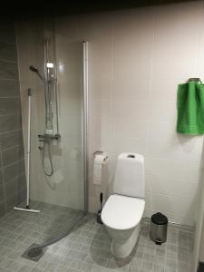 y baño con ducha, aseo y ducha. en StarHomes Double lux 7, en Oulu