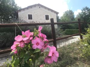 Zahrada ubytování Country House Antiche Dimore