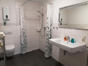 een badkamer met een wastafel, een douche en een toilet bij Hubertushof Eifel in Schönbach
