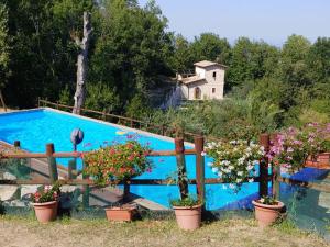 a swimming pool with potted plants next to a fence at Country House Antiche Dimore in Abbateggio