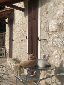 Patio nebo venkovní prostory v ubytování Country House Antiche Dimore
